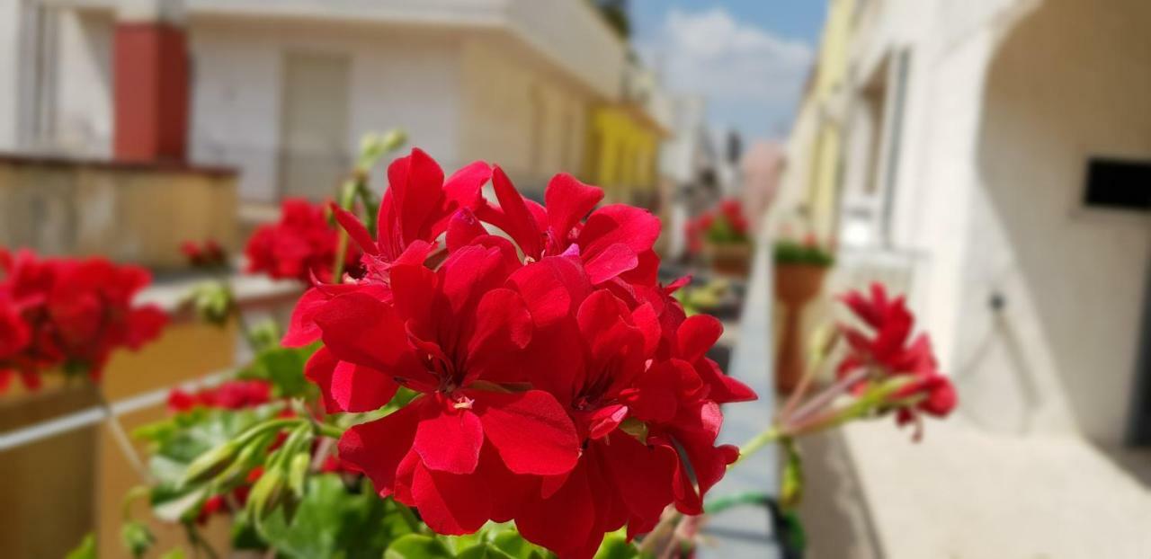 Cupersanum B&B Конверсано Екстер'єр фото